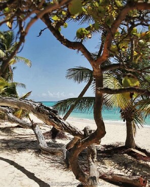 Beach - KAZ A KLEMENCE (Anse-Bertrand)