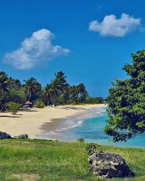 Beach - KAZ A KLEMENCE (Anse-Bertrand)