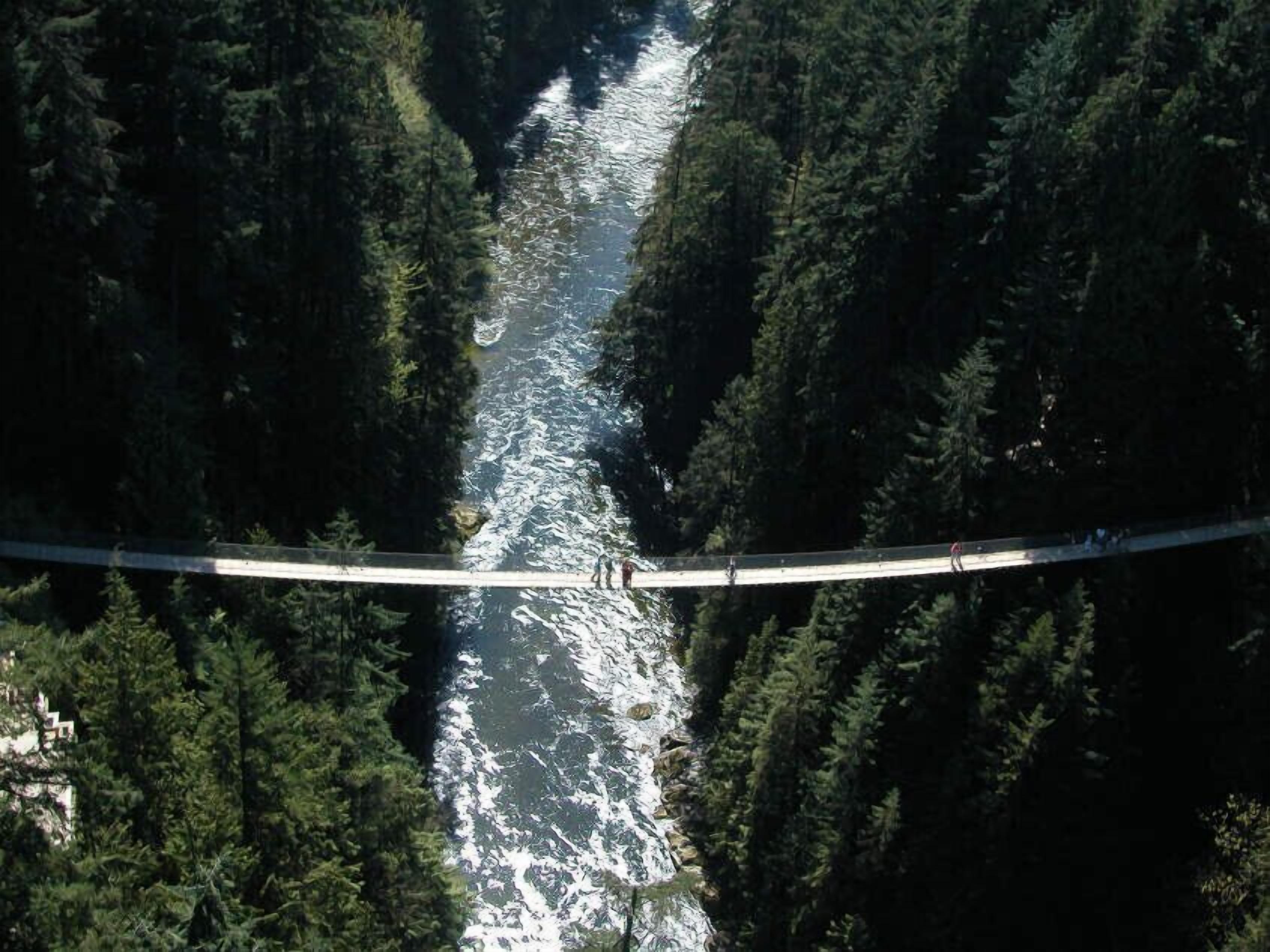Un pont suspendu enjambant une rivière, le tout entouré d’une forêt dense.