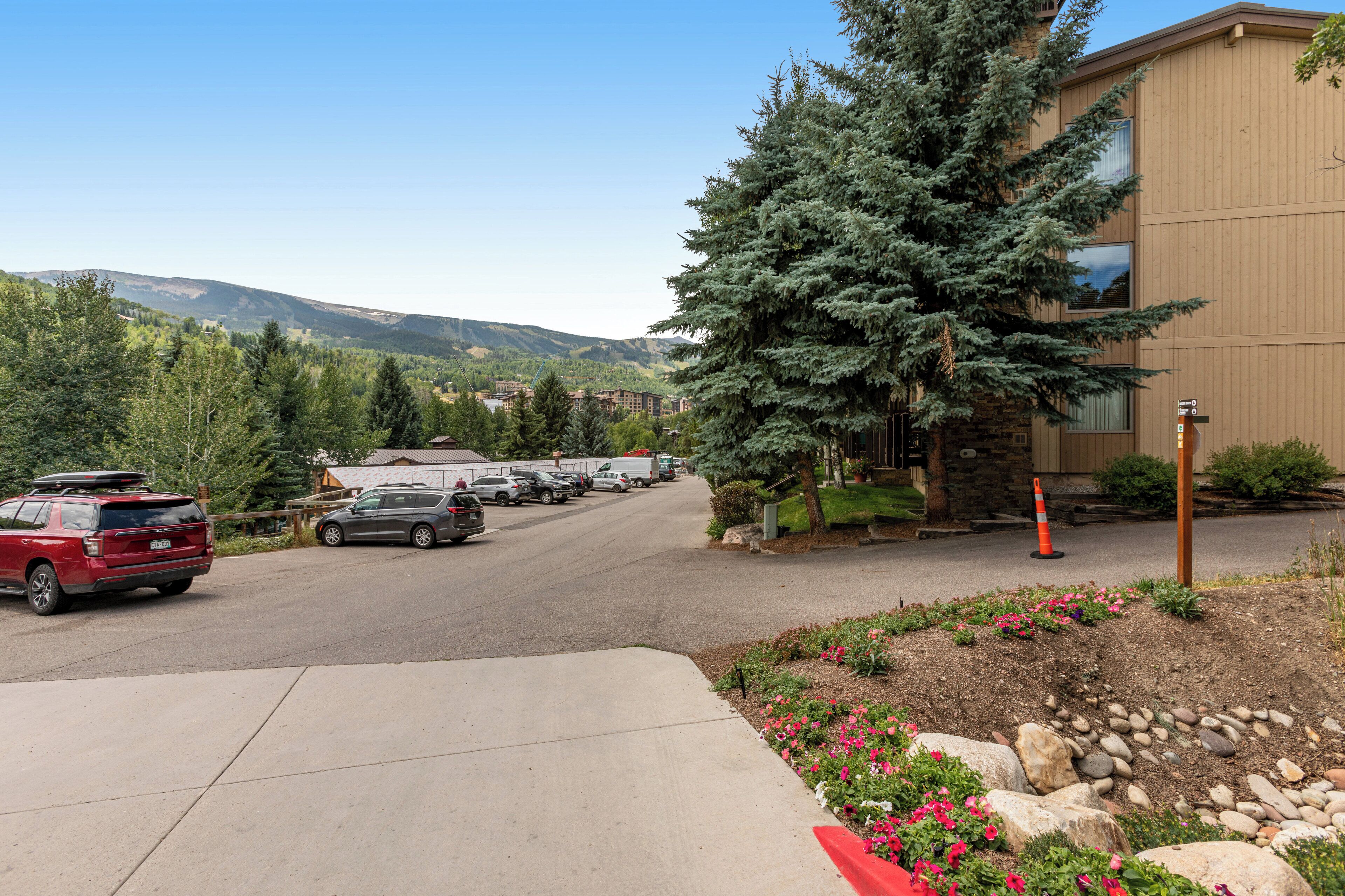 A parking lot with several cars, a building with a stone facade, and a large evergreen tree.