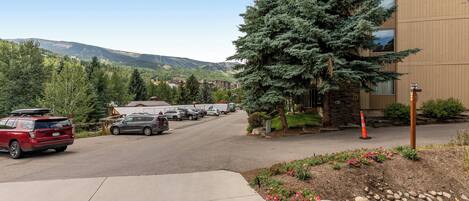 A parking lot with several cars, a building with a stone facade, and a large evergreen tree.