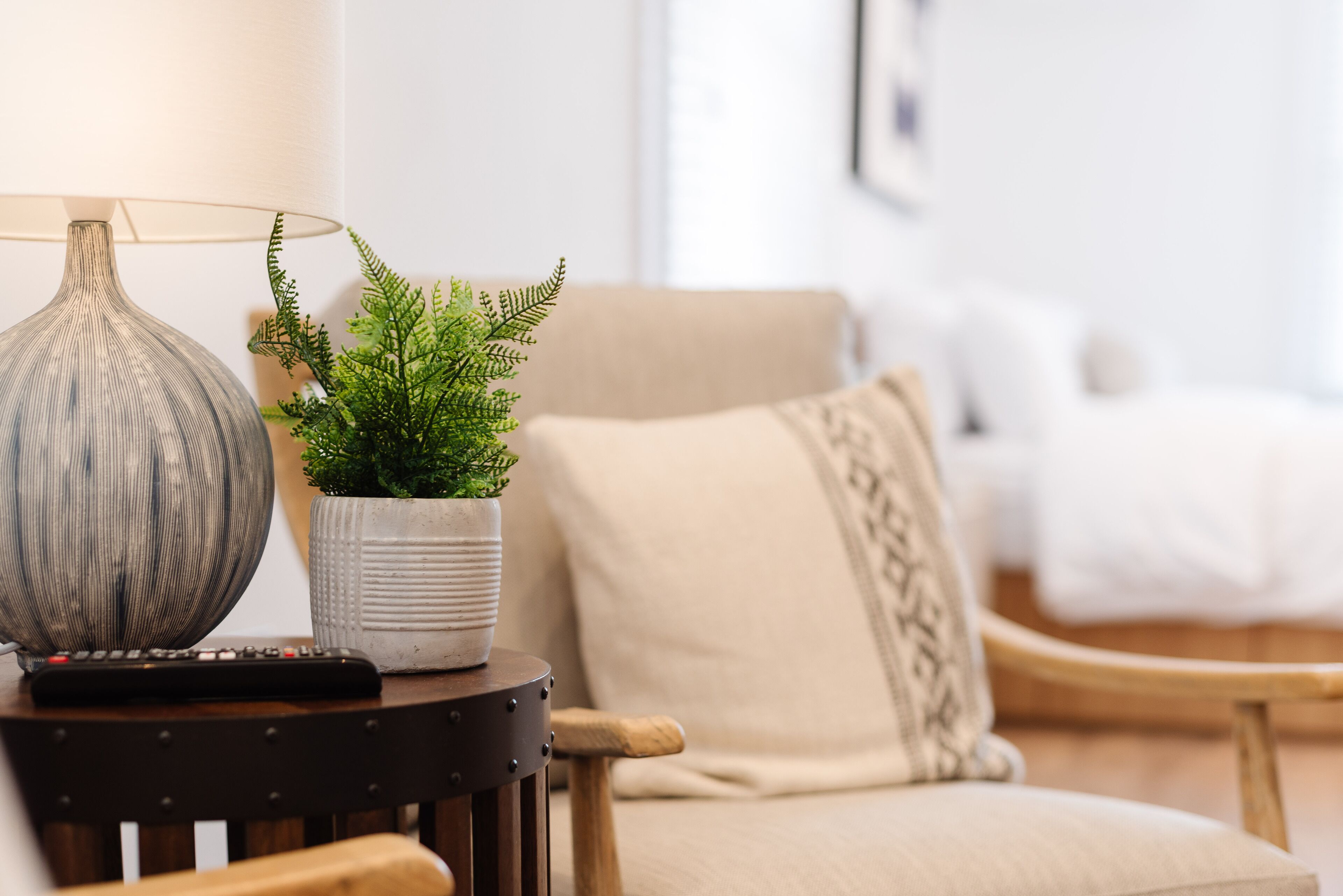 A living room with a lamp, a potted plant, a remote control, and a sofa.