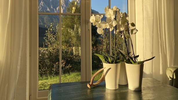Ein Zimmer mit großem Fenster und Blick auf die Berge, weiße Vorhänge, ein Tisch mit Topfpflanzen und einem dekorativen Gegenstand.
