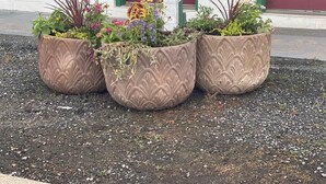 Tres macetas grandes y decorativas con diversas plantas y flores frente a un edificio de paredes blancas y puertas verdes.