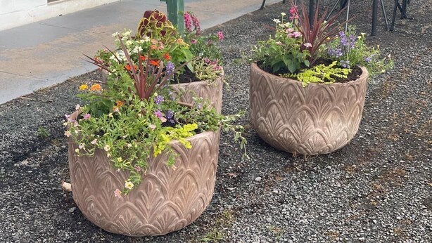 Dos macetas decorativas con diversas flores y plantas sobre una superficie de grava.
