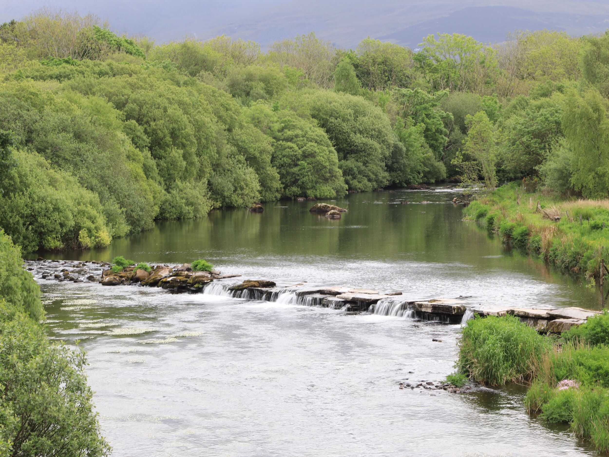 A river flowing through a forested area with a waterfall.
