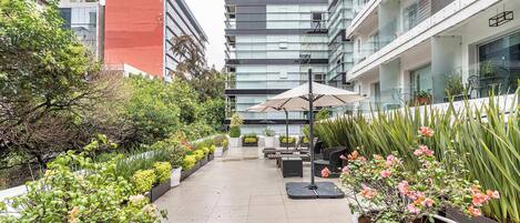 Terraza o patio