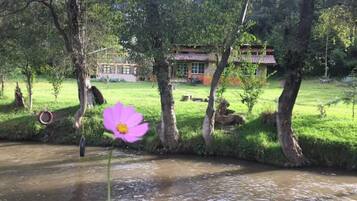 Jardines del alojamiento