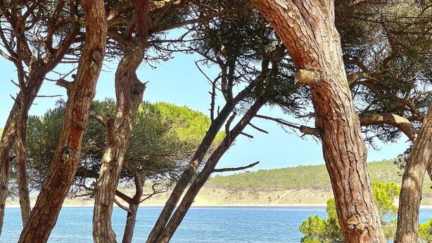 A natural landscape with trees and a body of water. - A Casa da Lagoa (Lagoa de Albufeira) - 800 da Praia (Sesimbra)