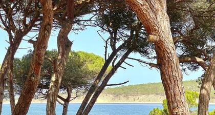 A Casa da Lagoa (Lagoa de Albufeira) - 800 da Praia