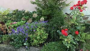 Un jardin où l’on trouve une variété de plantes et de fleurs, notamment des fleurs rouges et violettes, le tout adossé à un mur.