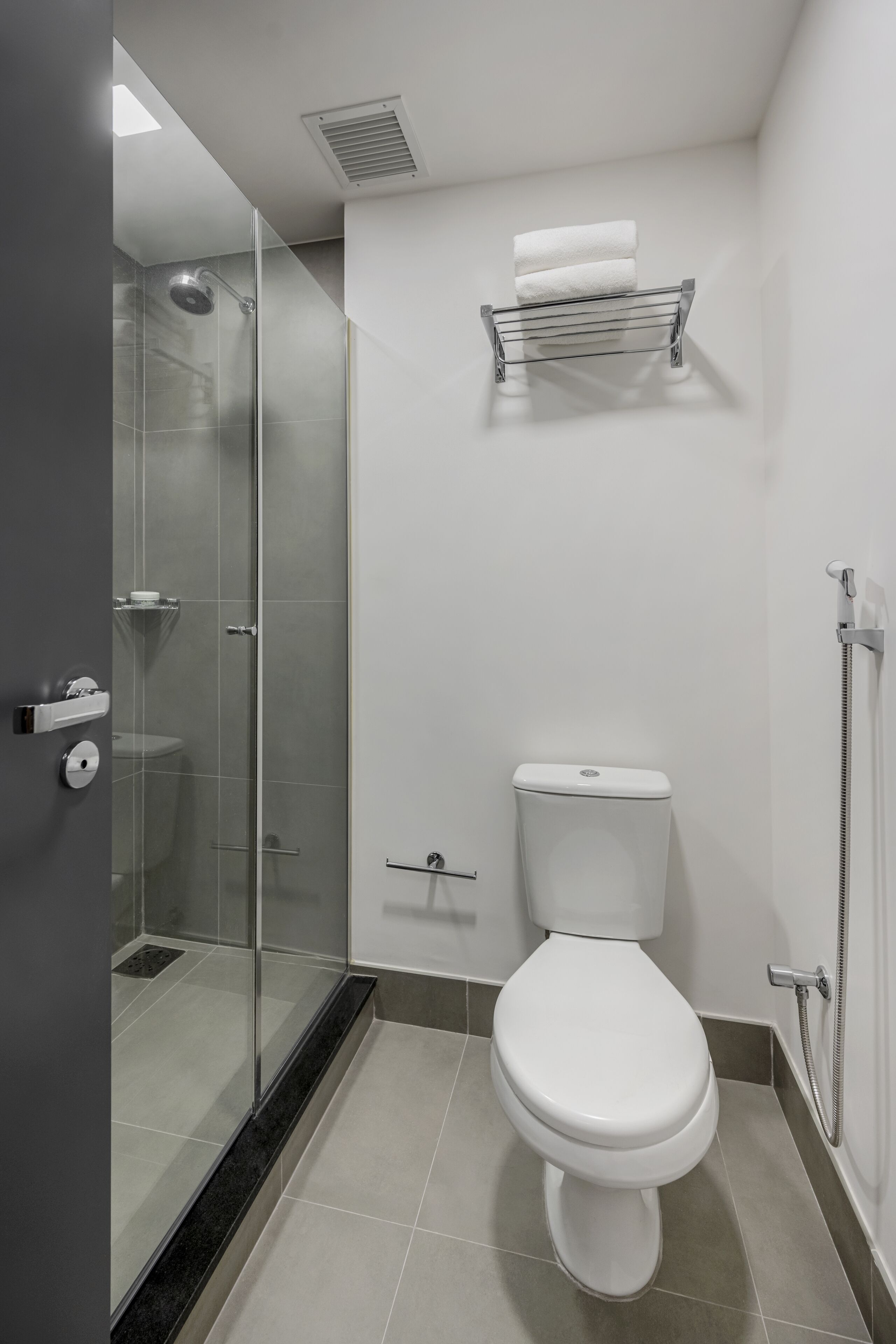 A modern bathroom with a glass-enclosed shower, a white toilet, and a towel rack.