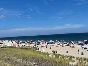 Playa en los alrededores y camastros 