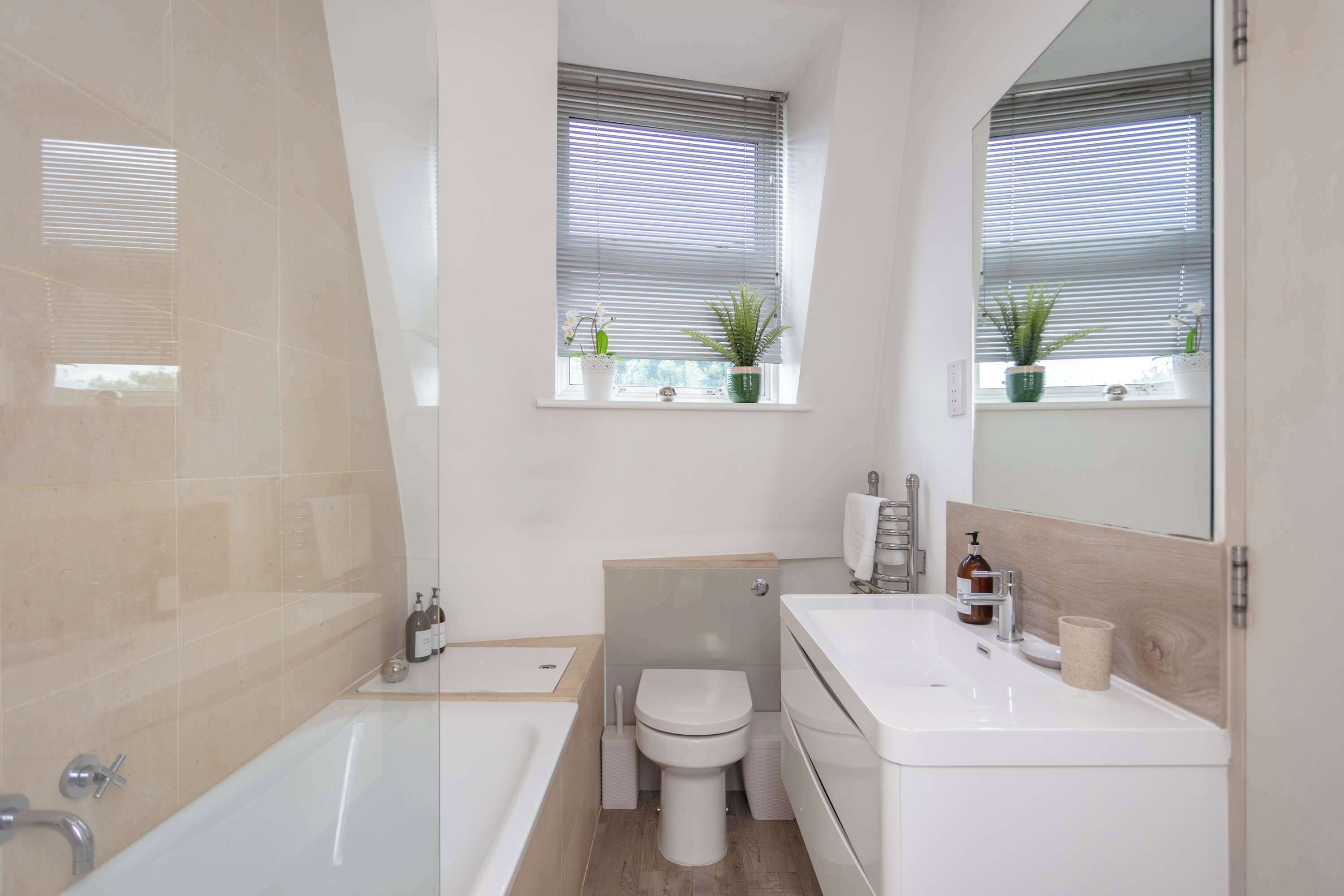 Bathtub, hair dryer