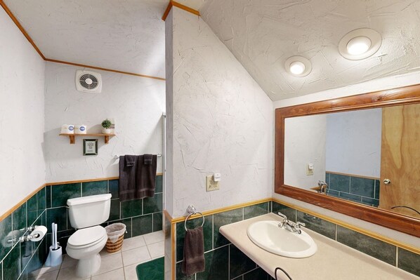 Shower, jetted tub, hair dryer, towels