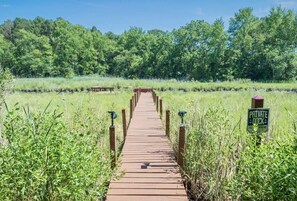 المنطقة المحيطة بالمنشأة