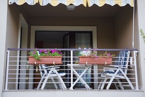 Vista desde la propiedad