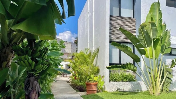 A pathway leading to a modern building with a well-maintained garden and large-leafed plants.
