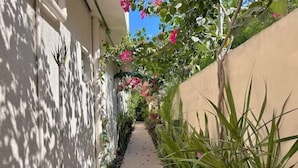 A narrow pathway flanked by walls with climbing plants and flowers, leading to a building entrance. - 3BR Apartment | 3 Ensuites | Pool | Near Beach (Playa del Carmen)