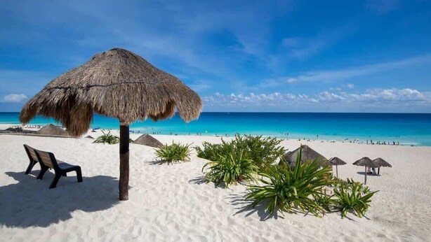 A beach with a thatched umbrella, a bench, and palm plants. - Downtown Cancún Garden Studio · WiFi & A/C (CancÃºn)