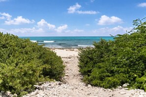 A beach path leading to the sea with dense greenery on either side.