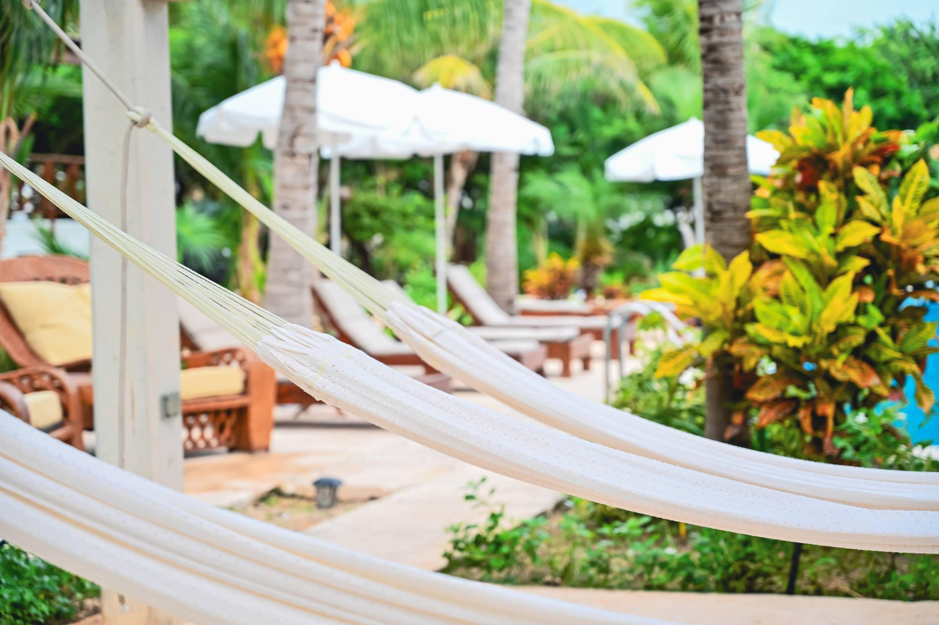 A hammock in a tropical resort setting with lounge chairs and umbrellas.