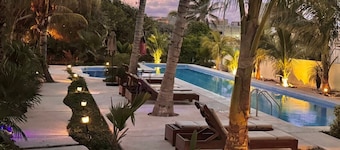 The Best Pool and Best Sunrises + Oceanview