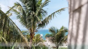 A view of a beach with palm trees and a clear sky. - Isla Mujeres Villa | Plunge Pool, Beach 90m & A/C (Isla Mujeres)