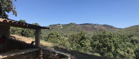 A stone structure with a pergola, surrounded by dry grass and trees, overlooking a forested hillside.