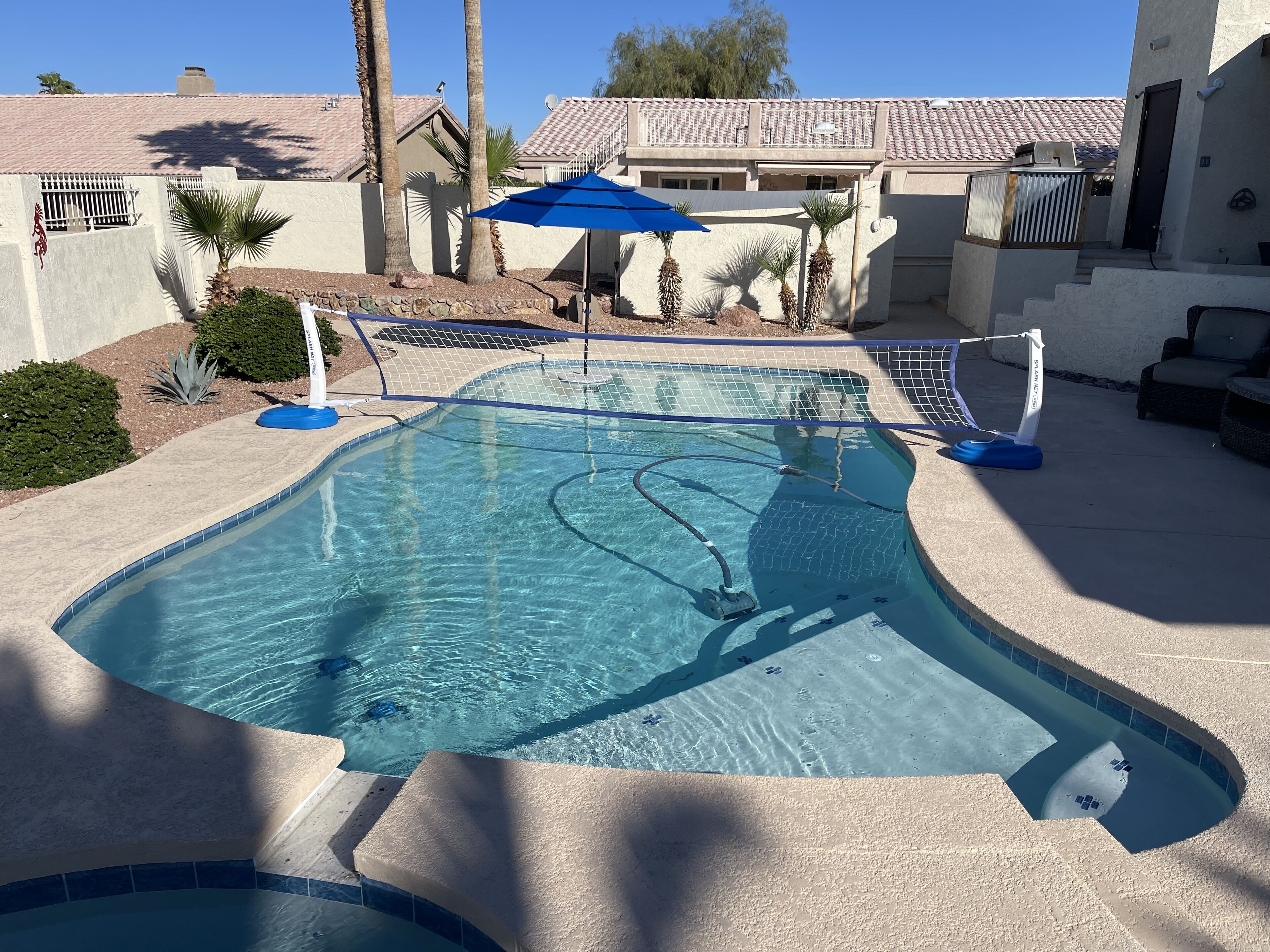 A swimming pool with a blue umbrella, surrounded by a landscaped area with palm trees and a house in the background.