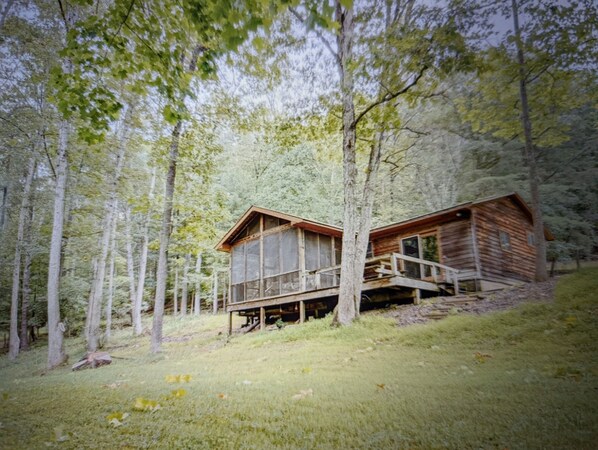 Exterior - Backyard creek, screened porch (Needmore)