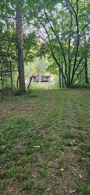 Property grounds - Backyard creek, screened porch (Needmore)