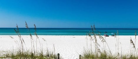 Una spiaggia nelle vicinanze