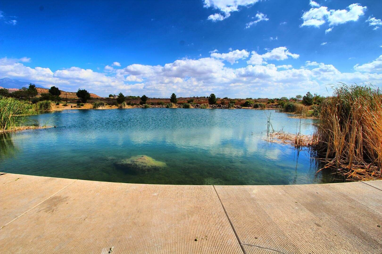 Alberca al aire libre 