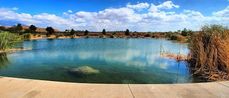 Alberca al aire libre