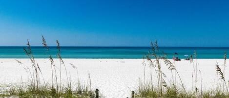Una spiaggia nelle vicinanze