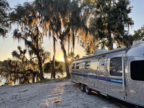 Property grounds - Shell Harbour Resort Cabin #3 (Satsuma)