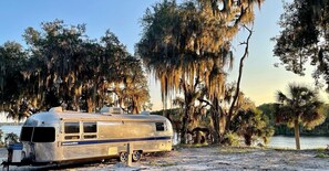 A silver RV parked by a lake with Spanish moss hanging from trees.