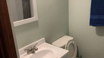 Shower, towels, toilet paper