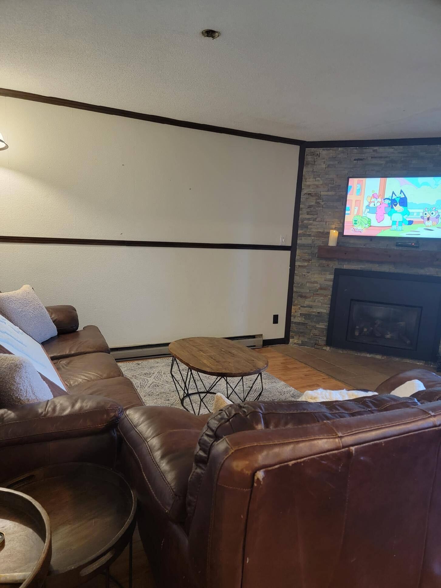 TV connectée, cheminée, lecteur de DVD, livres