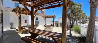 Whale, Hello There-15113