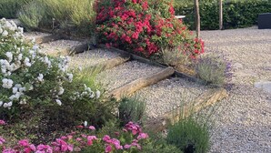 Ein Garten mit einer Holzpergola, verschiedenen blühenden Pflanzen und einem Kiesweg.