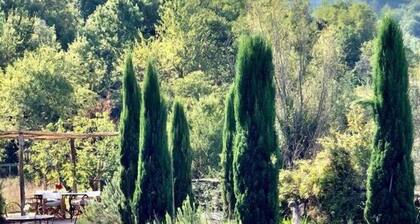 Luxury Tuscan Villa Hideaway in Codiponte, Italy