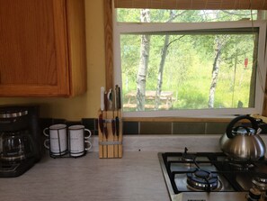 Fridge, oven, stovetop, coffee/tea maker