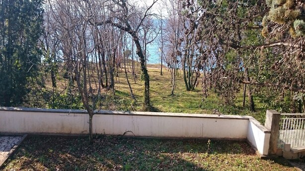 A view of a garden with trees and a body of water in the background. - Apartment Nemo - Three Bedroom Apartment with Terrace (Njivice)