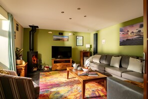 Smart TV, chimenea, reproductor de DVD y libros 