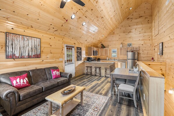 Televisión, chimenea y videojuegos 