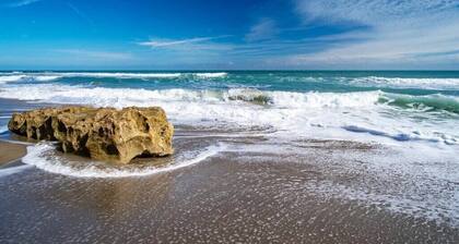 Coastal Gem New Build 5 min to Beach + Yard