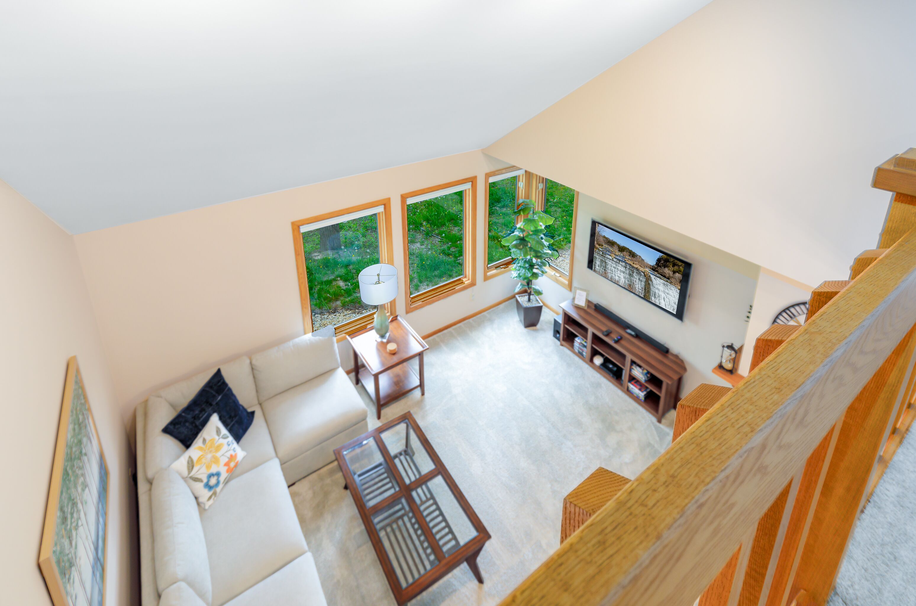 TV connectée, cheminée, lecteur de DVD