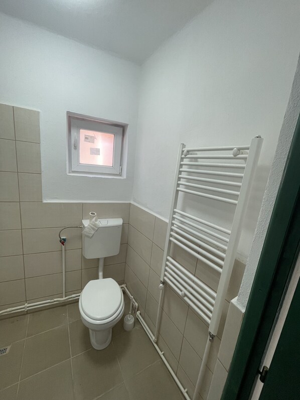 A small, clean bathroom with a toilet, a window, and a white radiator. - Renovated old farmhouse with great opportunities nearby (Alțâna)